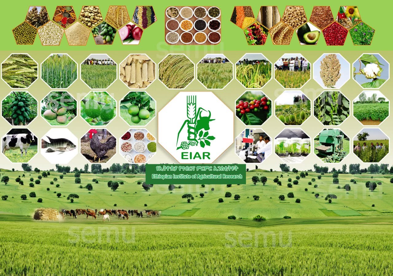 EIAR Banner