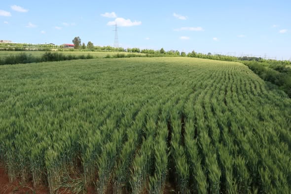 Debre markos Agricultural Research Center