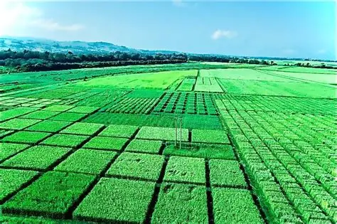 Kulumssa Agricultural Research Center