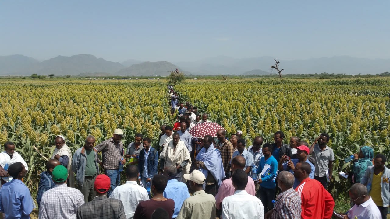 Mehony Agricultural Research Center