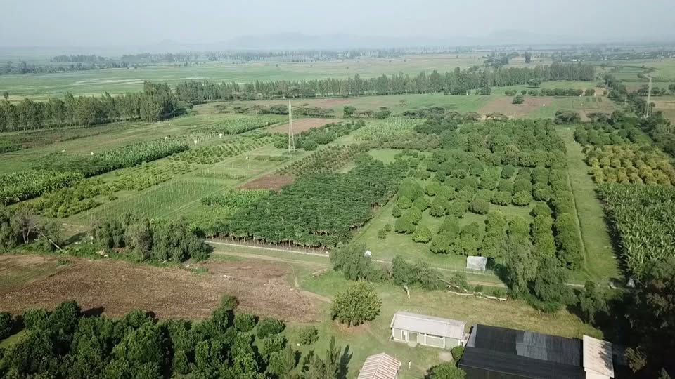 Melkassa Agricultural Research Center