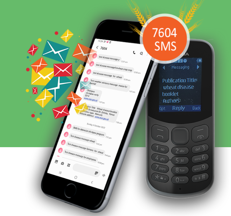 EIAR 7604 Short Message Service